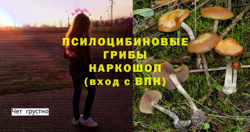 МЕГА сайт  наркотики  Воронеж  Галлюциногенные грибы Psilocybine cubensis 