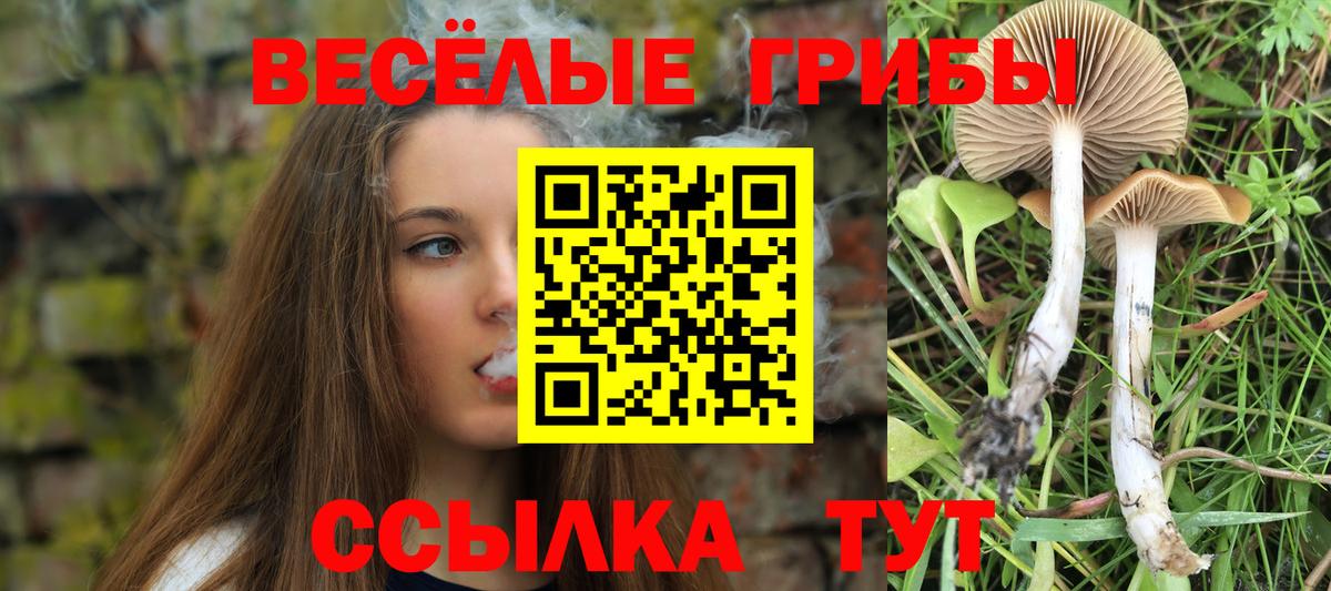 Псилоцибиновые грибы прущие грибы  Галлюциногенные грибы MAGIC MUSHROOMS  Воронеж 