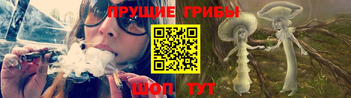 Псилоцибиновые грибы Psilocybe  Вход с VPN  Воронеж 